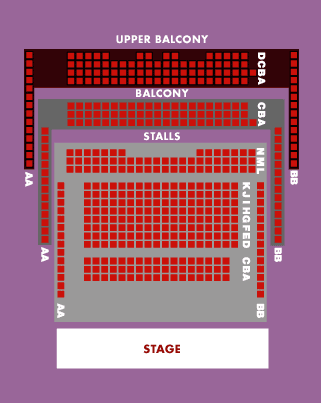 Theatr Brycheiniog Seating Plan